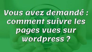 Vous avez demandé : comment suivre les pages vues sur wordpress ?